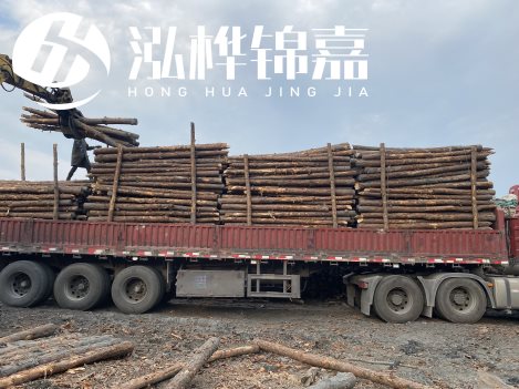 打樁木材為何首選松木？松木樁應該怎么打樁施工