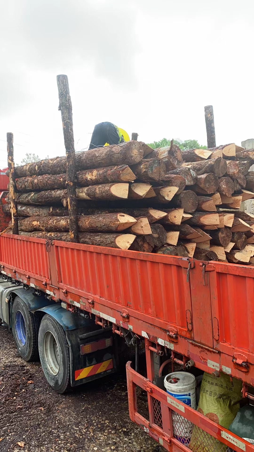 松木樁新手必備！快速掌握規(guī)范和要求