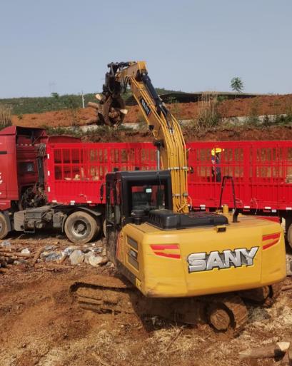 松木原木、松木條，漲勢(shì)如虹，現(xiàn)在搶購(gòu)最劃算(附松木原木供應(yīng)廠(chǎng)家介紹)