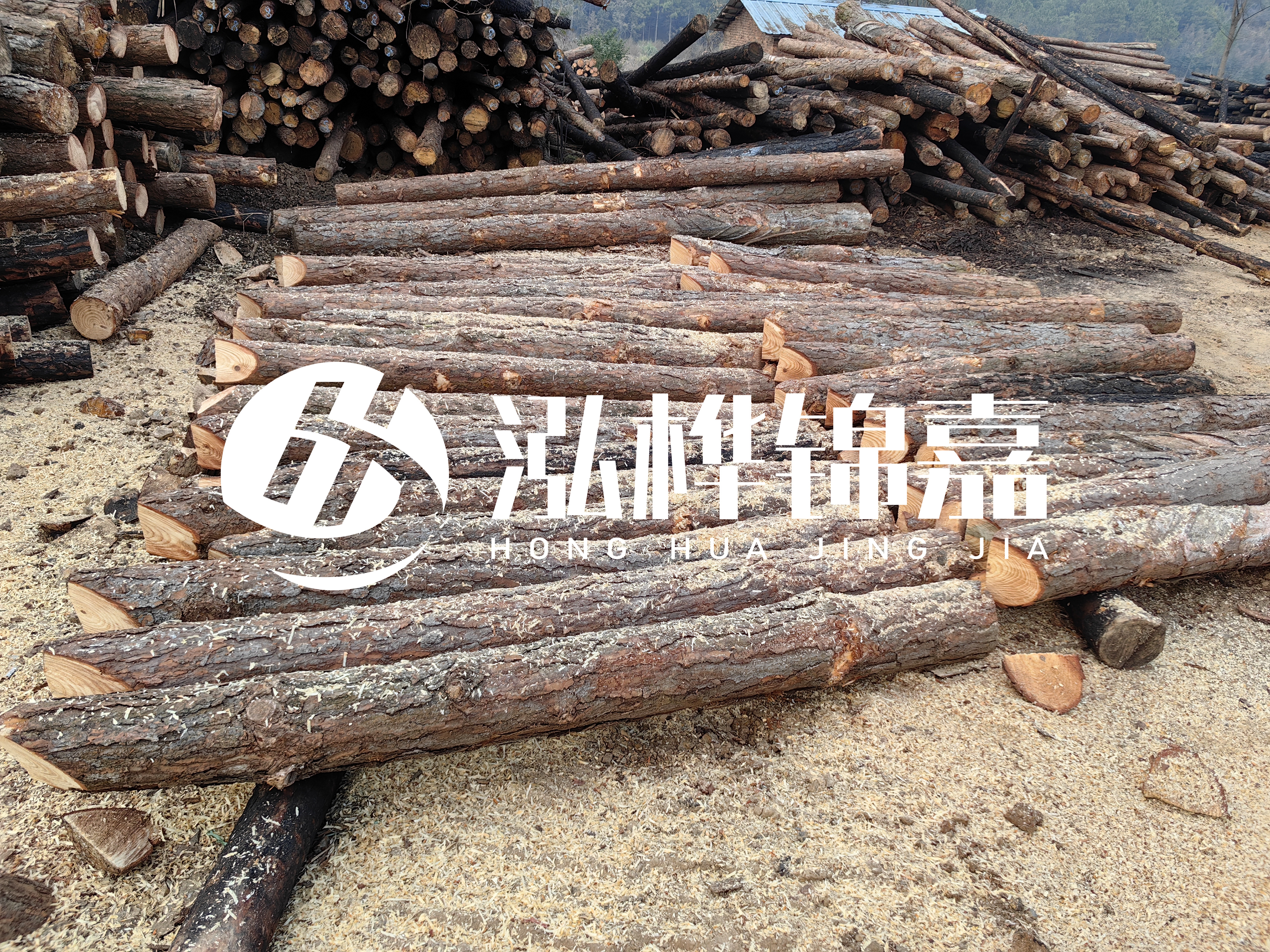 河道打樁木重復(fù)利用嗎？