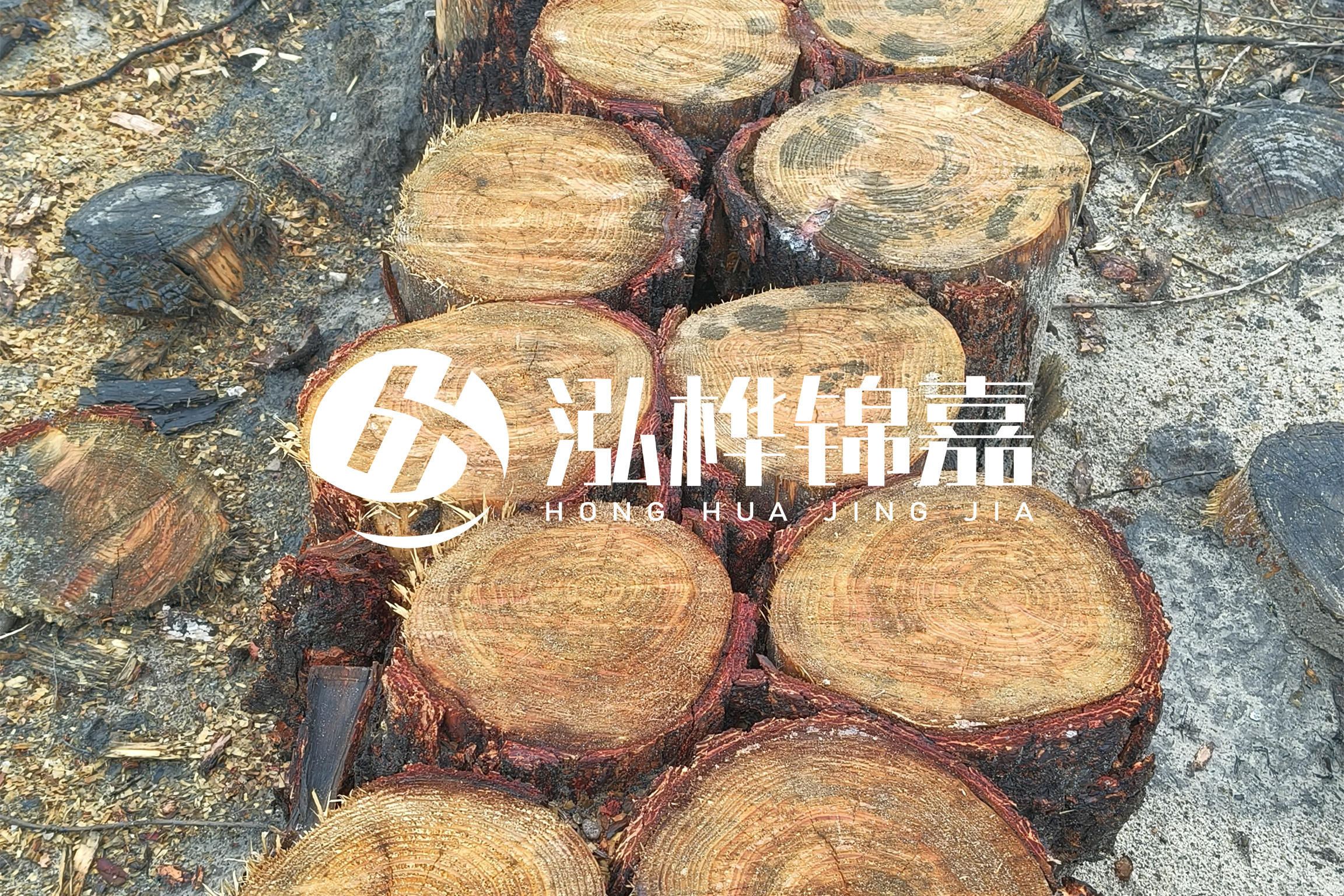 浙江臺州有清淤的公司嗎？浙江臺州有清淤施工隊嗎？