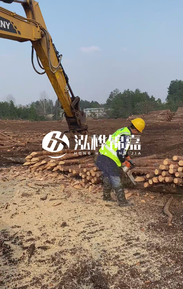 銅陵挖機(jī)打木樁專業(yè)施工-打松木樁一般算米還是算根？