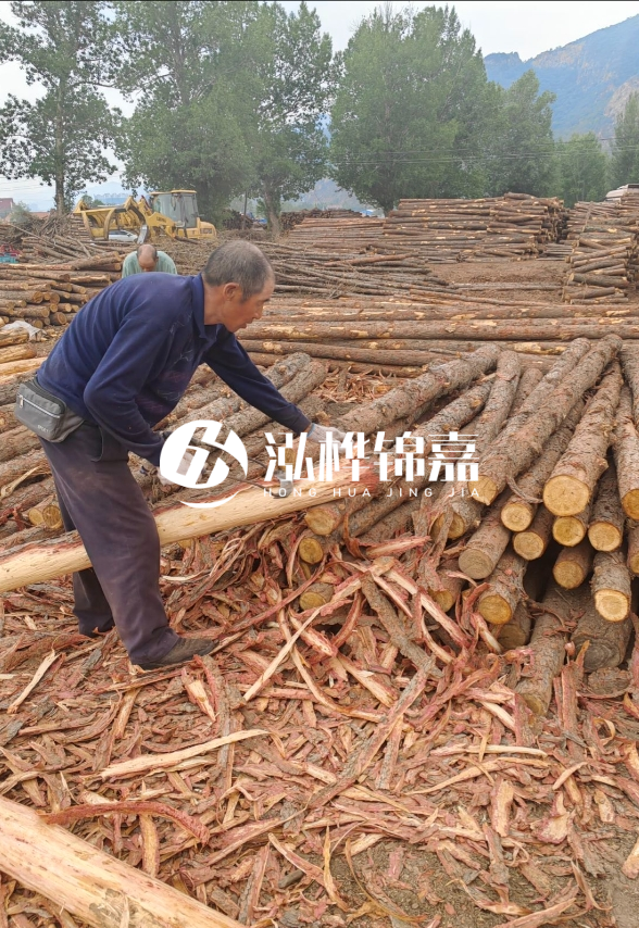 東營河道清淤專業(yè)施工隊-不同型號挖機清淤能力對比？