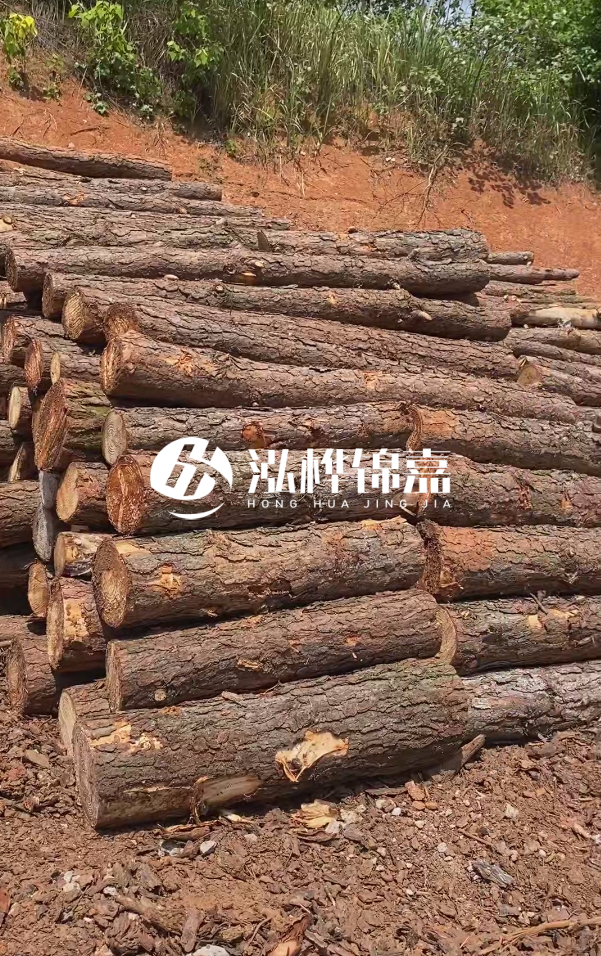 七臺河河道清淤專業(yè)施工-河道清淤的淤泥多久能干？