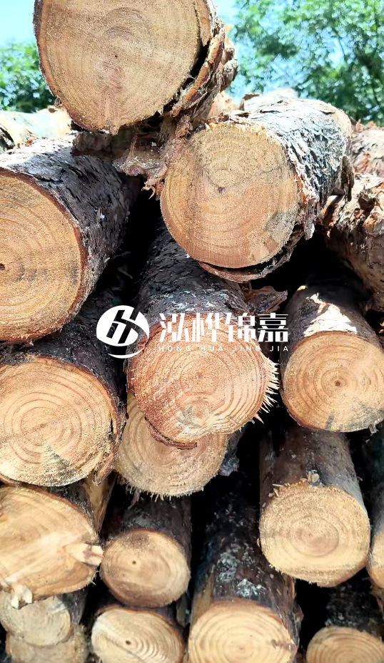 周口挖機(jī)打木樁專業(yè)施工-杉木樁施工打樁怎么打？