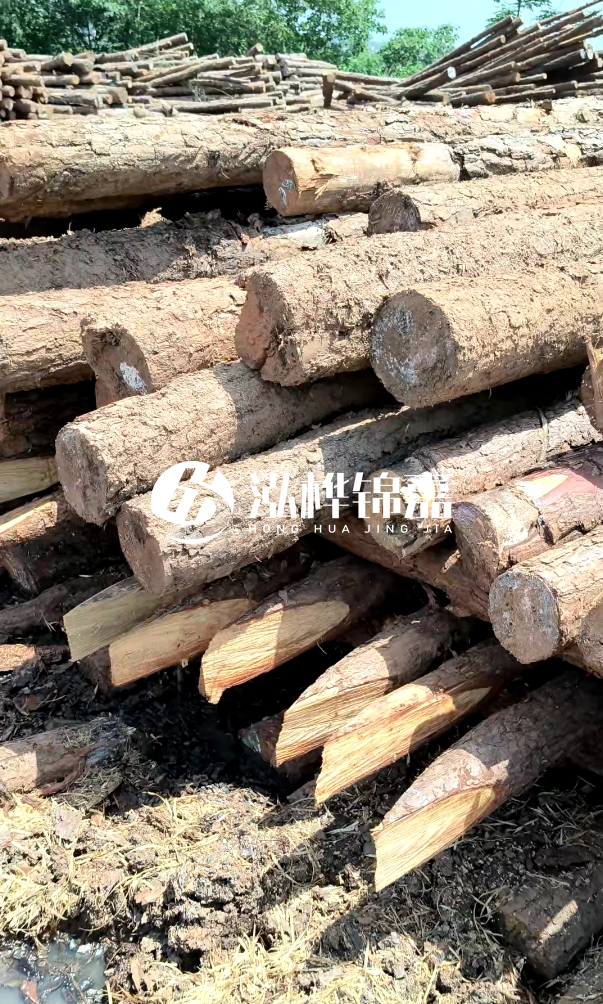 荊門挖機(jī)打木樁專業(yè)施工-河道打木樁前是否要清理河道底部雜物？