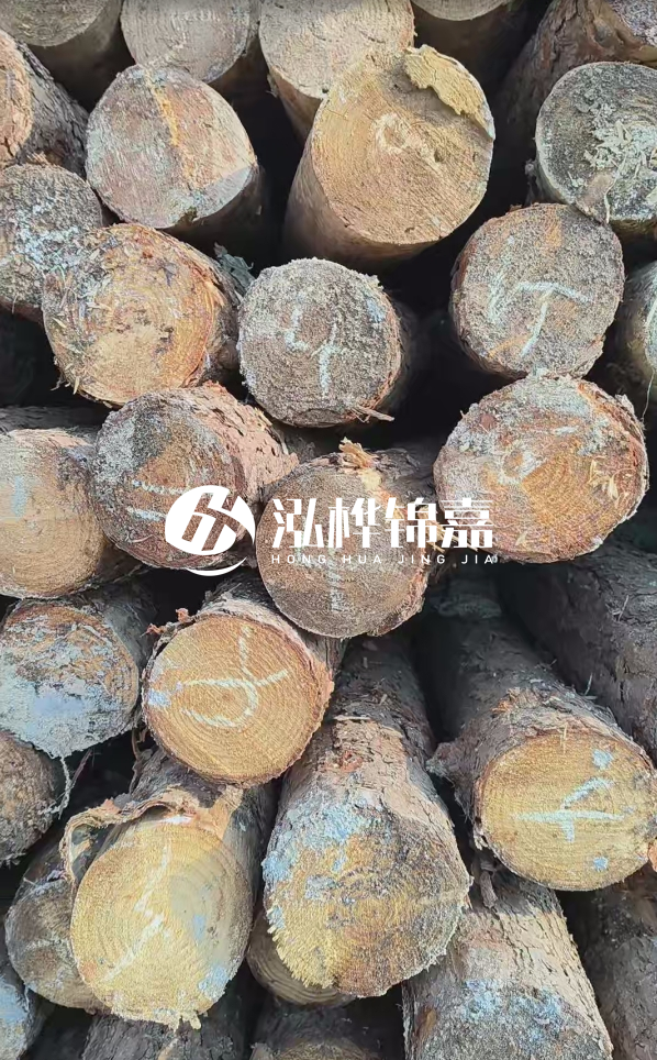 湛江松木樁源頭廠家-松木樁的直徑對(duì)河道打樁效果有何影響？