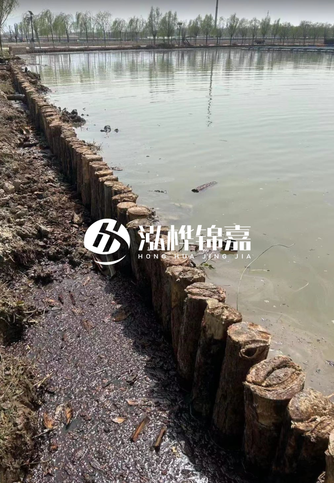 松木樁為什么要一根一根挨著打？秘密在這里！看完恍然大悟！