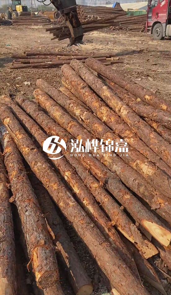 4.5米松木樁直徑14一根多少錢？5米14厘米多少錢？