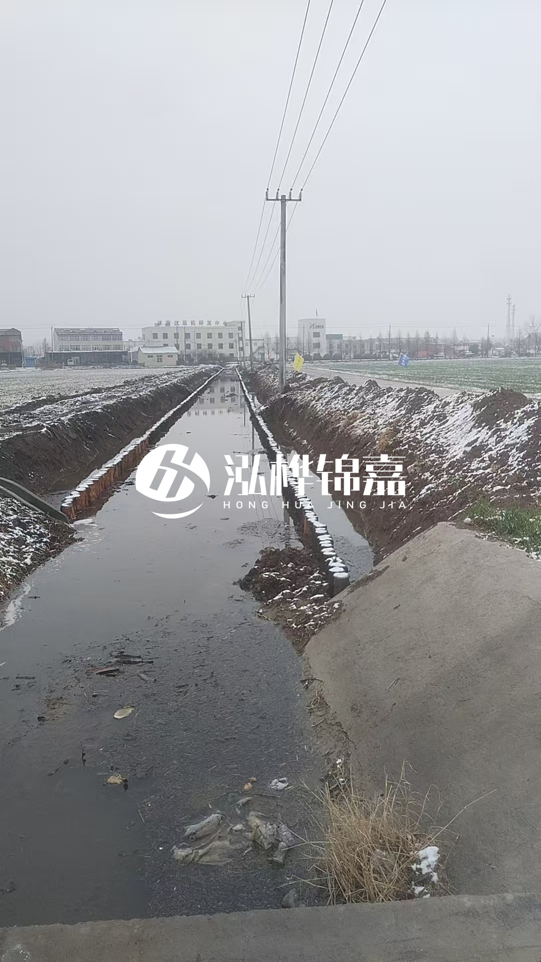 4米松木樁和杉木樁價格相差多少？哪個更便宜？