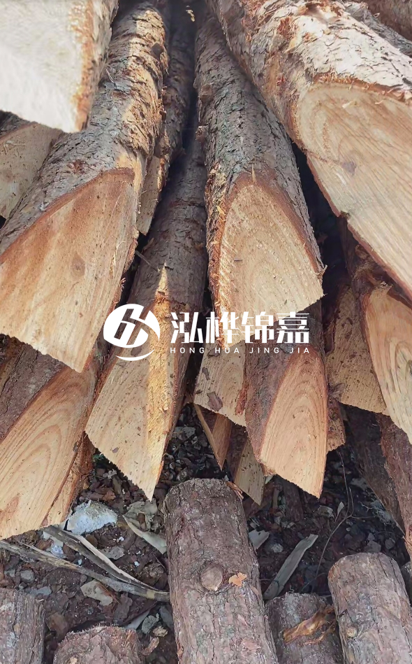 3米杉木樁梢頭12大頭多少？賣多少錢一根？