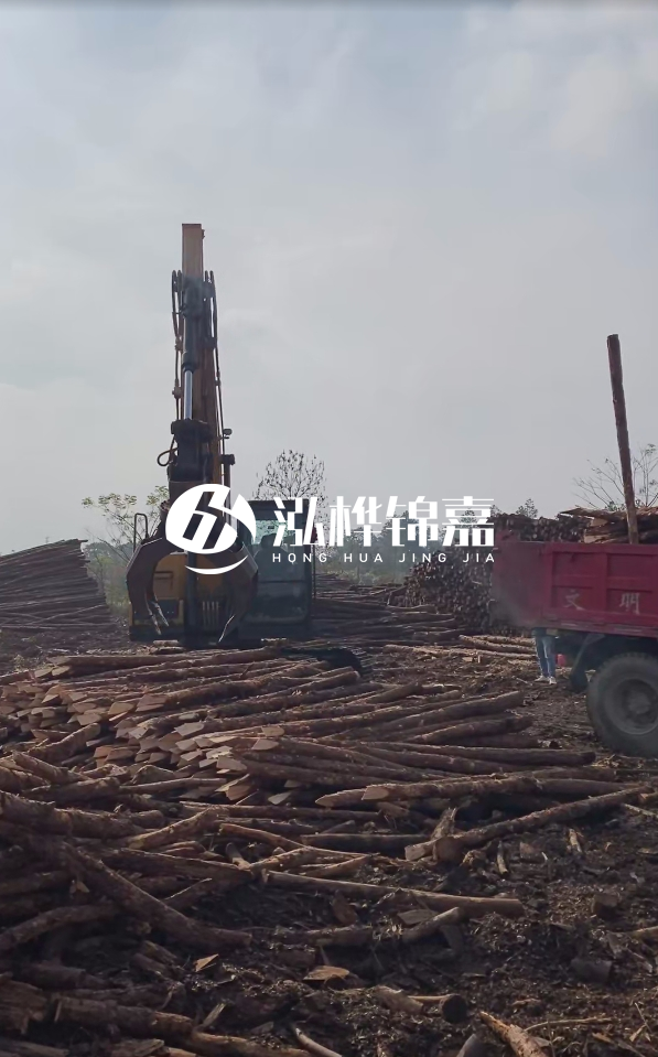 6米打樁木多少錢一根-6米10-15公分價格是多少？