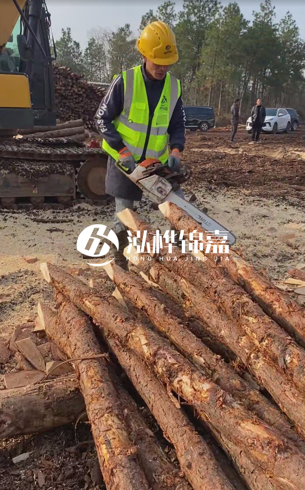 松木樁樁長1.5米稍徑12多少錢一根？樁長1.5米稍徑12大頭多少？