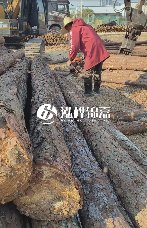 長沙打樁木批發(fā)廠家在哪里？聯(lián)系方式是什么？