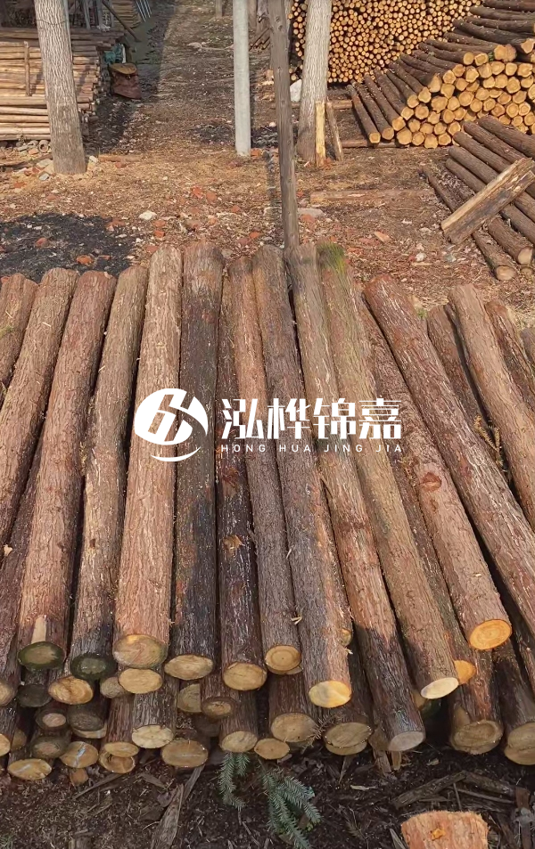 河道護坡選松木樁還是杉木樁？河道木樁一根多少錢？