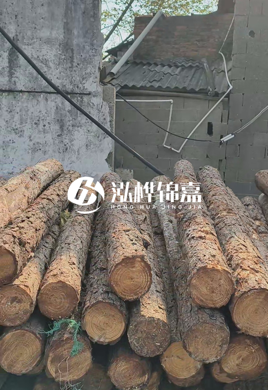 1.5米至2米長松木樁價格表-10-12公分大概多少錢一根？