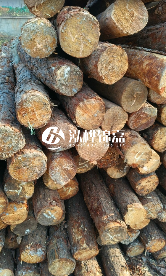 油松3米12公分多少錢一根？油松4米12公分多少錢一根？