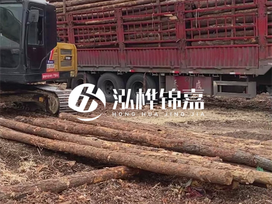 江西2米10-12松木樁多少錢一根？10-15公分價格又是多少？