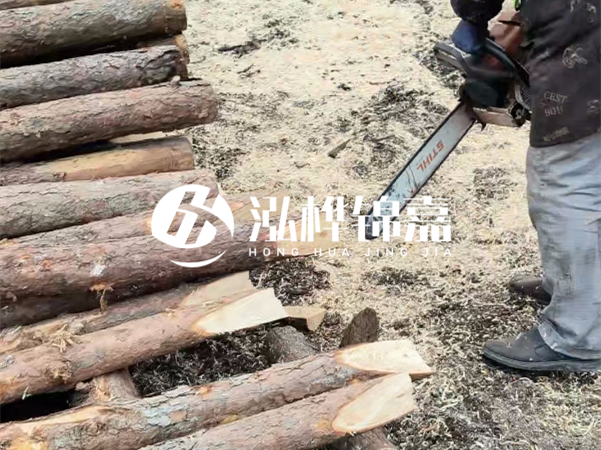 杉木樁批發(fā)廠家哪家好？產(chǎn)地直供渠道推薦！