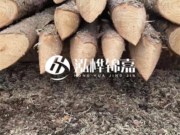 打樁木樁與鋼樁相比有哪些優(yōu)缺點(diǎn)？如何進(jìn)行后期維護(hù)？