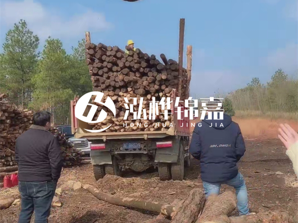 松木樁價格是按米算還是按根算？6米松木樁批發(fā)價每根多少錢？