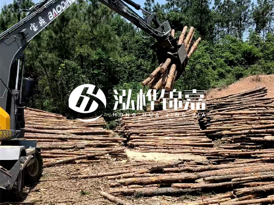 3米松木樁小頭10公分多少錢一根？大頭10公分又是多少錢？