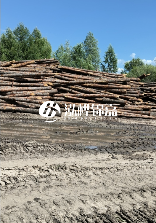 3米松木樁適合河道護(hù)坡嗎？小頭直徑8厘米的松木樁價格如何？