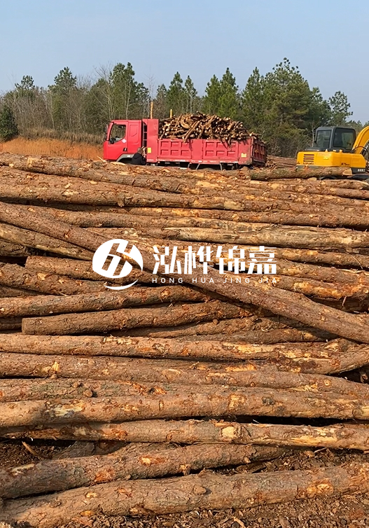 8米小頭11-13CM的松木樁價格是多少？打樁施工怎么算？