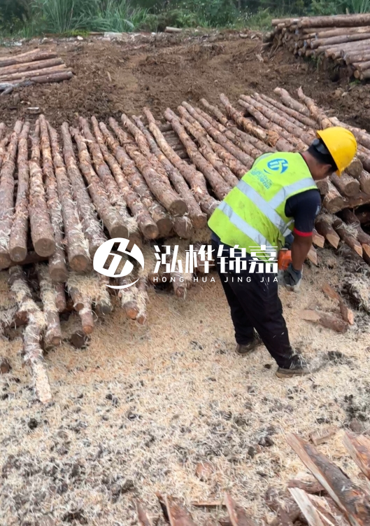 江蘇打樁木源頭廠家泓樺錦嘉-2.5米大頭10CM多少錢一根？