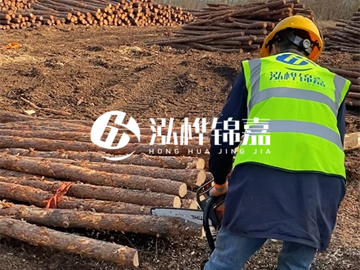 哪些木樁廠家能提供快速定制服務(wù)？哪些木樁廠家在國內(nèi)有多個(gè)生產(chǎn)基地？