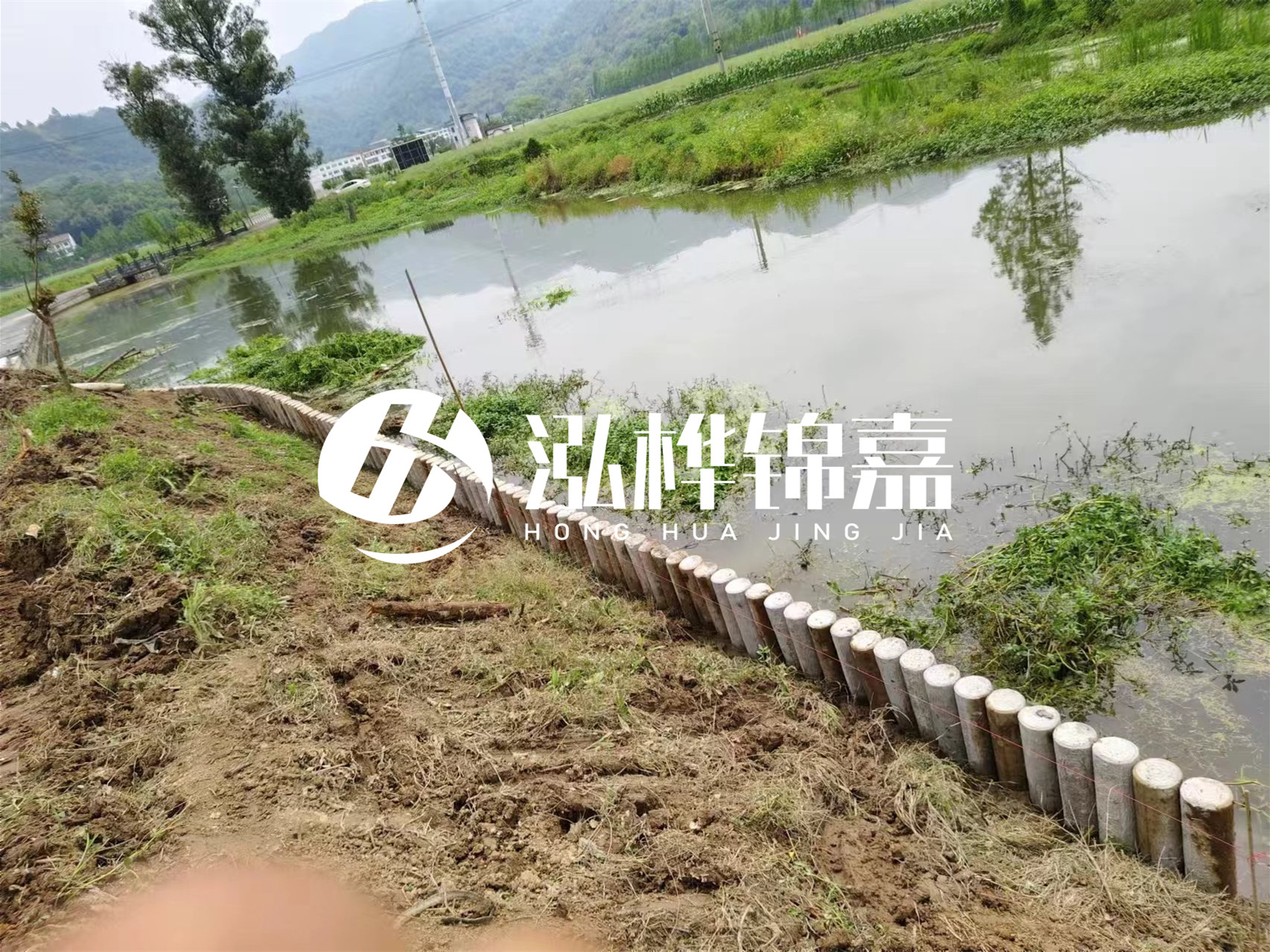 松木樁加固河道與水泥樁對比如何？哪一種更加適合您？