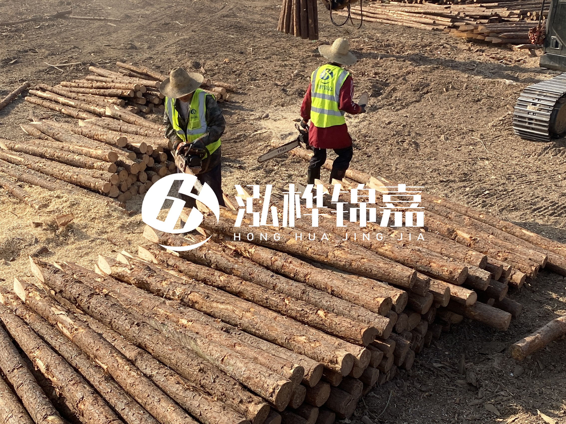 河道木樁報價在汛期前后會有波動嗎？什么時候買最便宜？