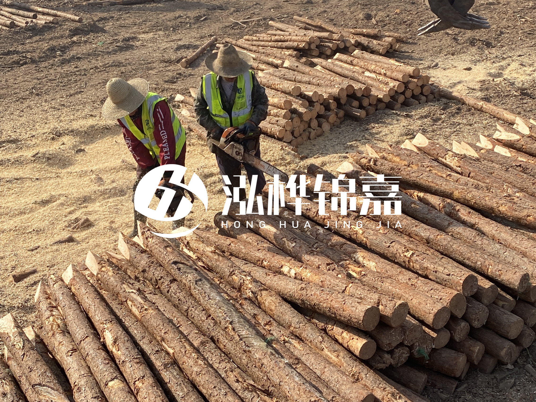河北打樁木廠家主要生產(chǎn)哪些材質(zhì)的打樁木？產(chǎn)品有哪些規(guī)格？