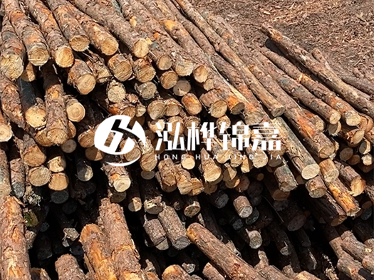 江西有哪些松木樁生產(chǎn)廠家？松木樁廠在什么位置？