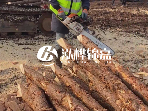 松木樁河道護(hù)坡怎么施工？打樁多少錢一根？