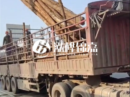 4米長杉木10公分價格-4.5米直徑15cm 杉木多少錢？