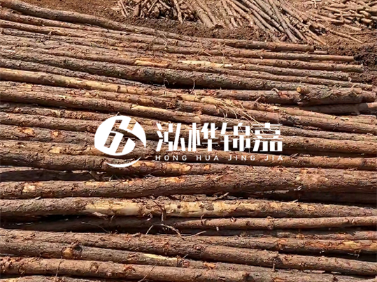 10公分的木材多少根為一方 - 4米10公分樹多少根為一方？