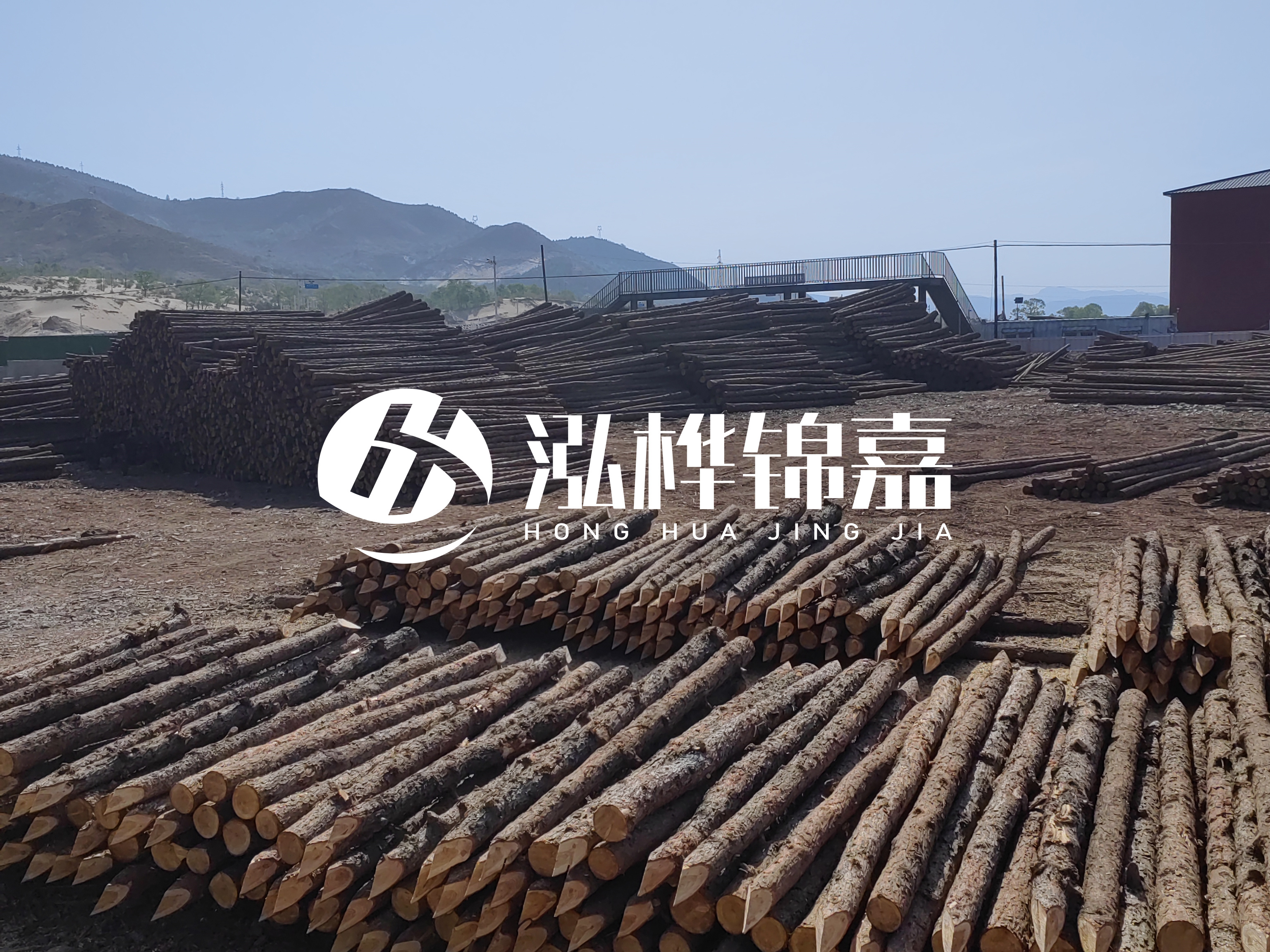 江蘇打樁木源頭廠家泓樺錦嘉-4米打樁木大頭14-16小頭一般多少？