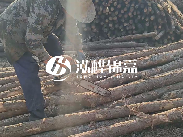 廣東打樁木源頭廠家泓樺錦嘉 - 如何選擇適合特定邊坡的松木樁？
