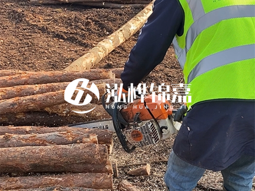 河道打木樁多少錢一根？5米直徑10松木樁打樁多少錢？