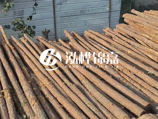 松木樁打樁后清淤怎么處理？有沒(méi)有全包的公司？