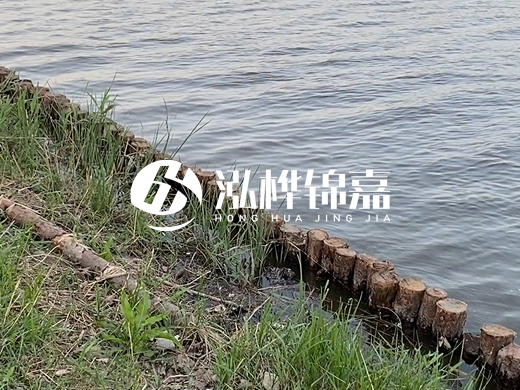 防洪松木樁施工重要性？河道打木樁的位置怎么確定？