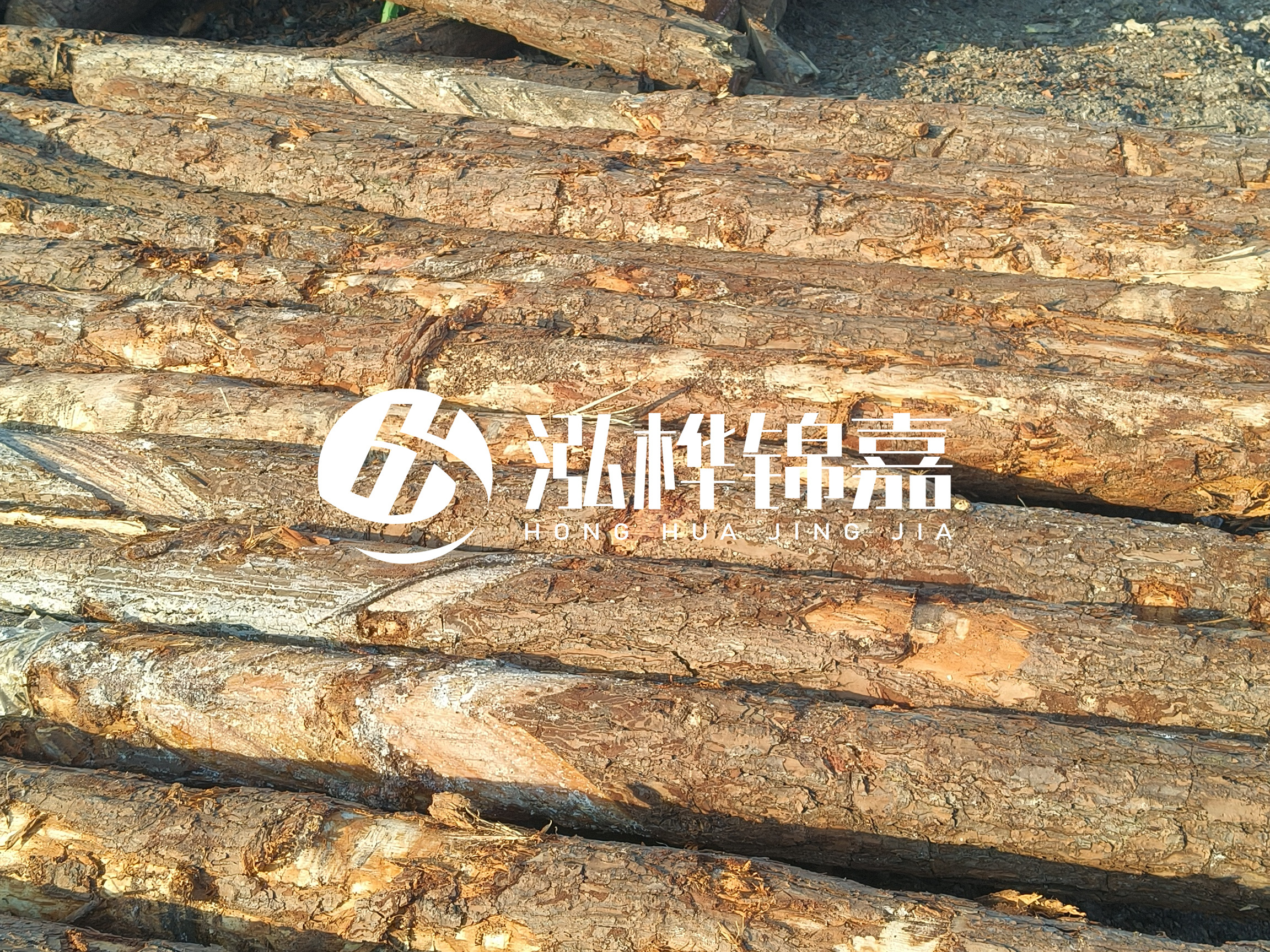 河道木樁的含水率過(guò)高會(huì)有什么問(wèn)題？怎么檢查松木樁含水率？