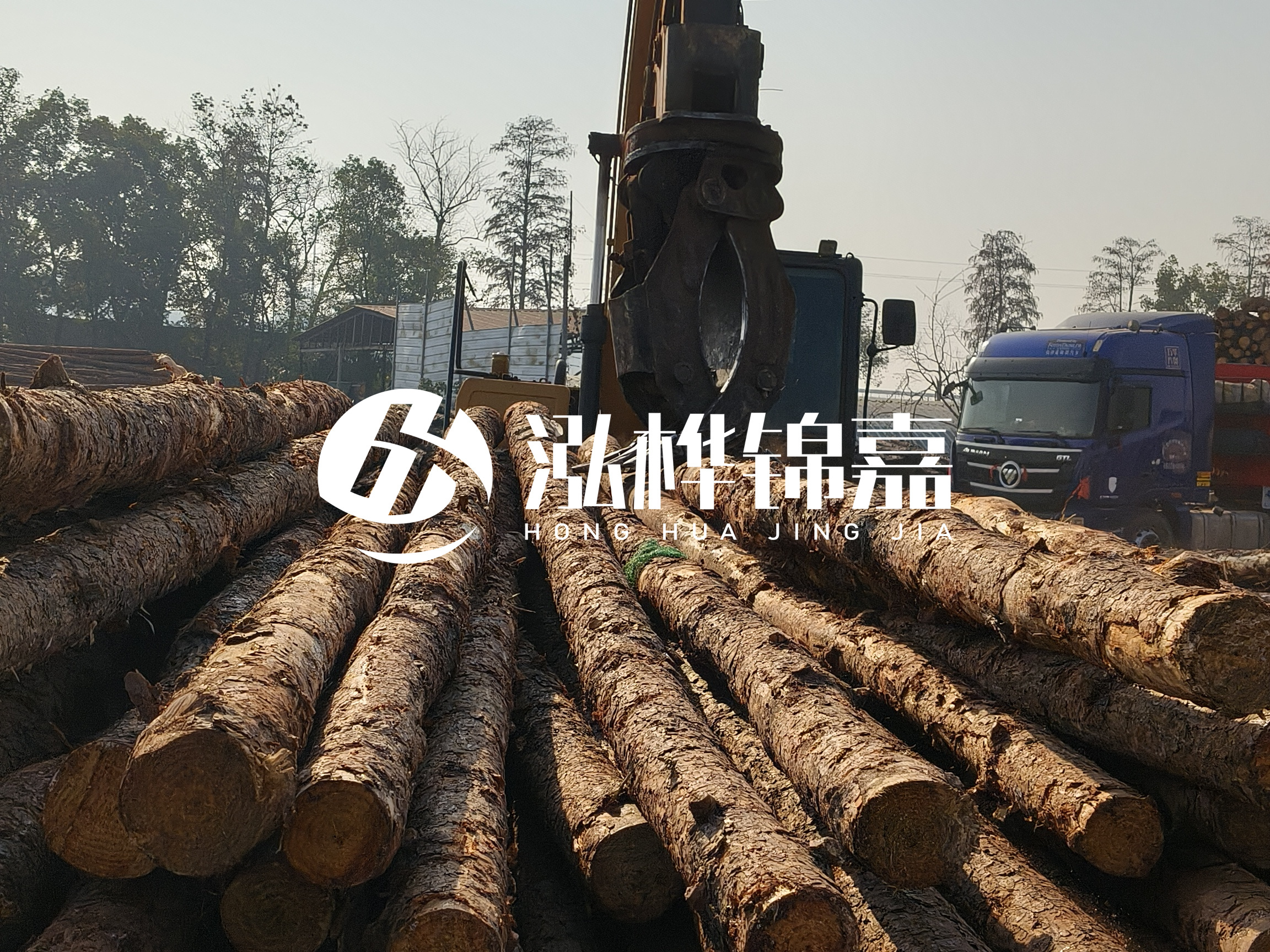 松木樁可以用來做什么？常用于哪些工程？