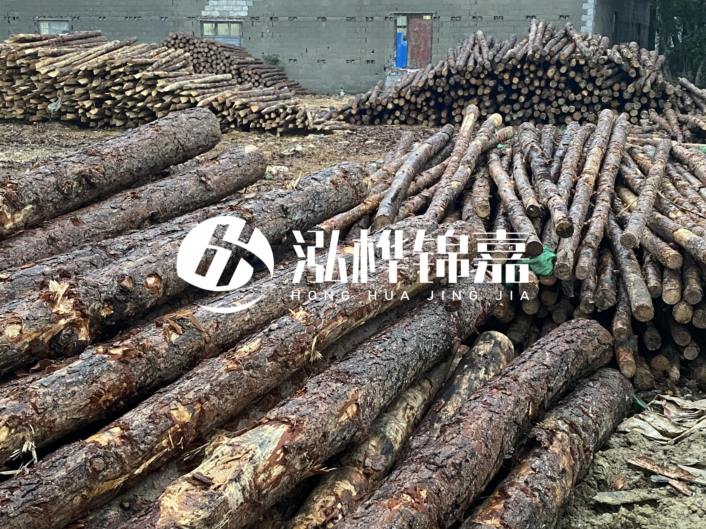 松木樁批發(fā)廠家泓樺錦嘉 - 河道松木樁如何選擇優(yōu)質(zhì)木材？