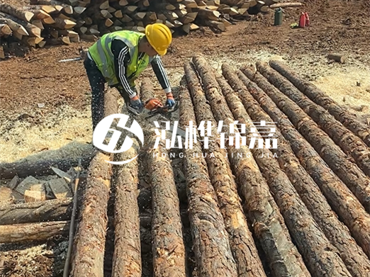 松木樁批發(fā)廠家泓樺錦嘉-河道打樁木施工中怎么防止樁頭被打壞？