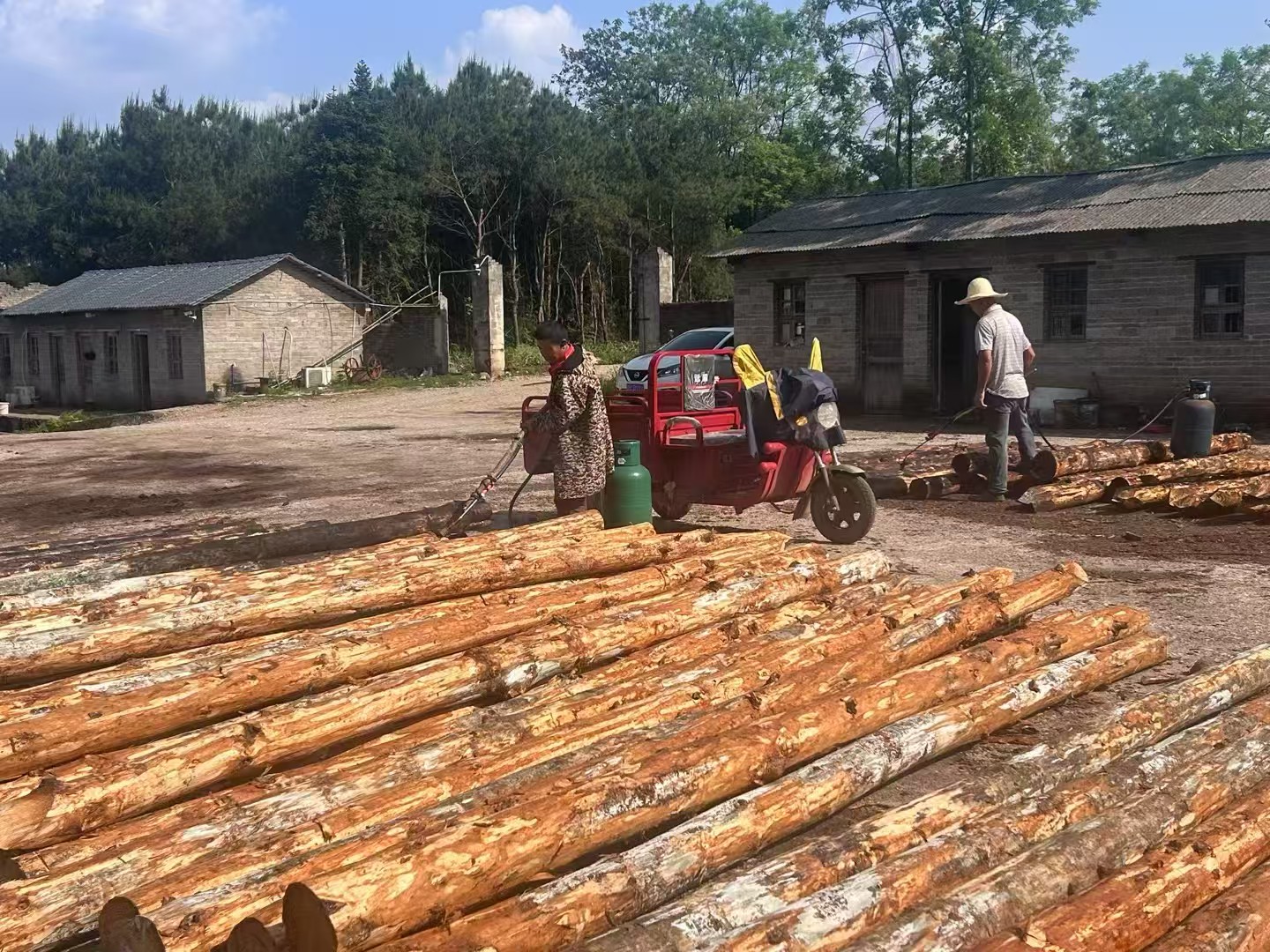 松木樁批發(fā)廠家泓樺錦嘉-圍堰松木樁為什么要交錯排列？