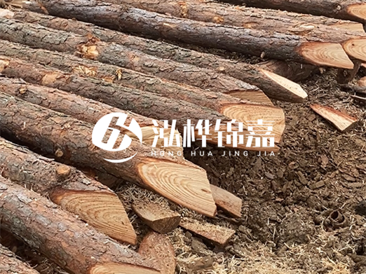 松木樁廠家泓樺錦嘉-河道兩邊打樁是干嘛的？