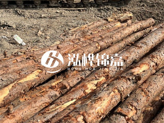 松木樁廠家泓樺錦嘉-原木松木樁的材質(zhì)是落葉松還是濕地松好？