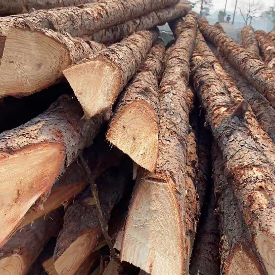 松木樁施工隊泓樺錦嘉 - 原木松木樁怎么辨別是否為實心？